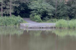 Park Selwerd Groningen