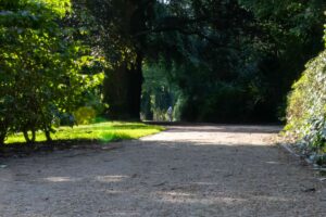 Wandelpad Noorderplantsoen Groningen