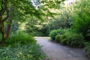 Wandelroute Noorderplantsoen Groningen