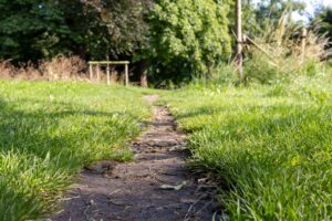 Vestingwal Noorderplantsoen Groningen