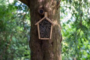 Insectenhotel Noorderplantsoen Groningen