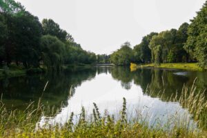 Pionpark Vogelbuurt Oosterparkwijk Groningen